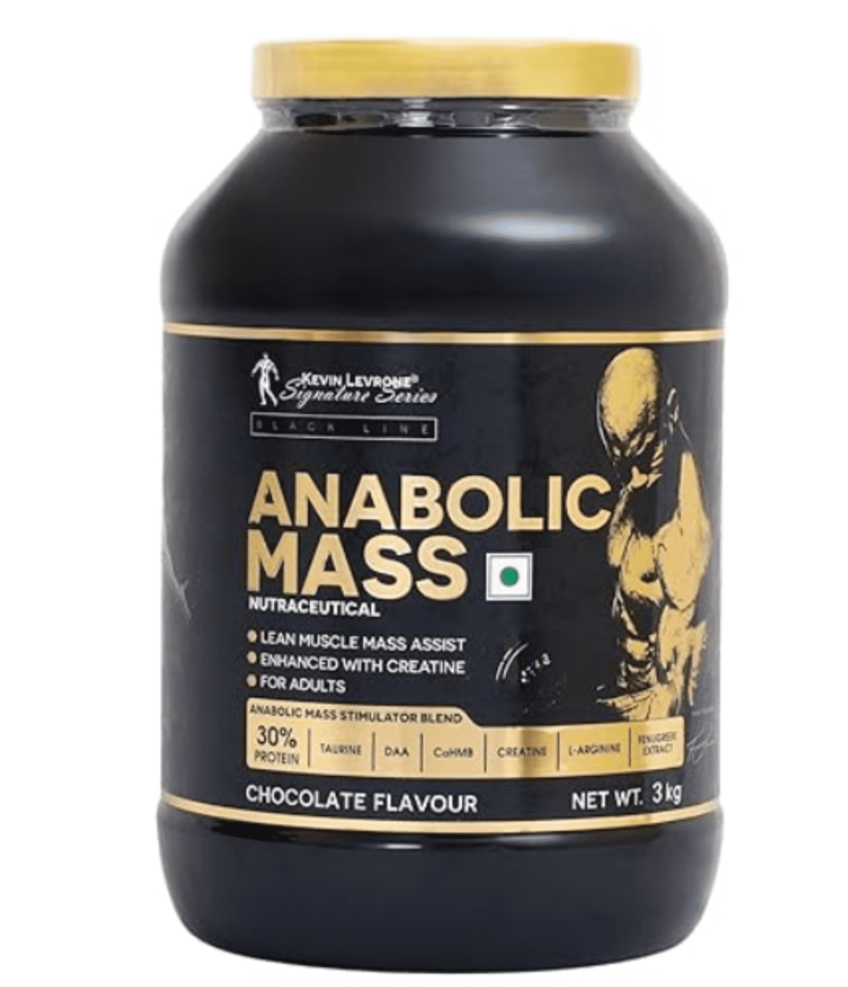 Kevin Levrone ANABOLIC MASS Gainer